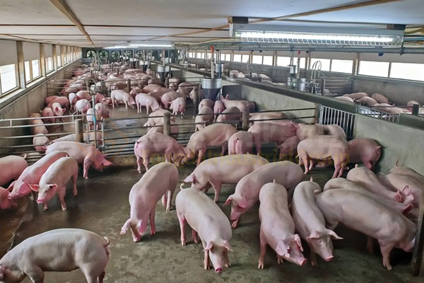 有機肥生產線技術方案,農村有機肥廠的投資和利潤分析